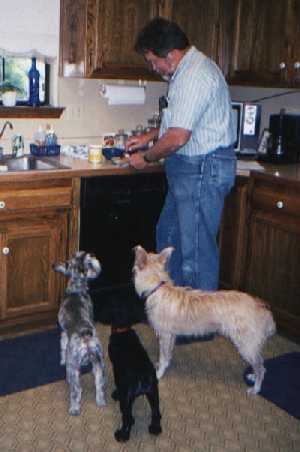 Supper time for Bonk, Sammi & Sadie